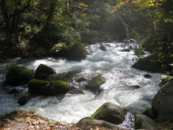 Pat's visit to Japan, 2005. Roiling River.