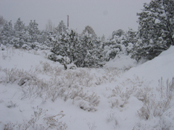 Winter in Santa Fe, NM