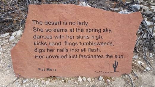 Poem rock at Tohono Chul in Tucson