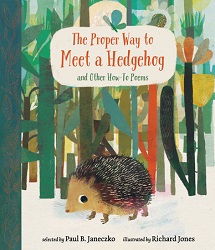The Proper Way to Meet a Hedgehog