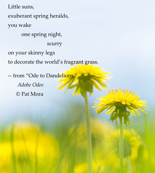 Ode to Dandelions by Pat Mora